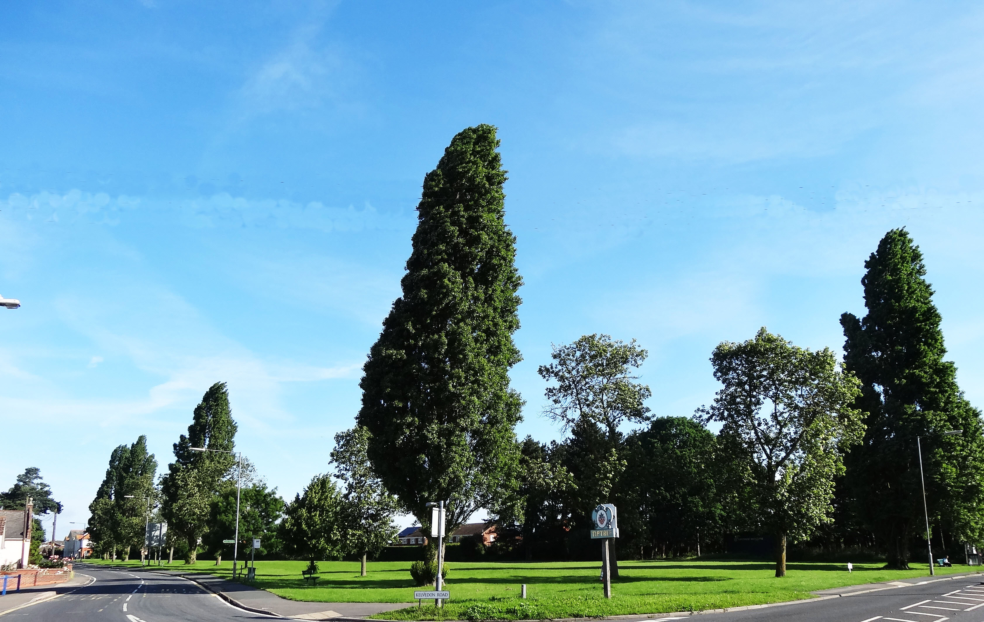 Tiptree Village Green